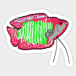 FISH GOURAMI DWARF Sticker